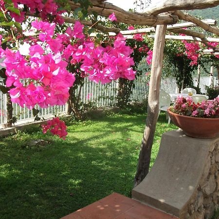 Bouganville Home Виетри Экстерьер фото