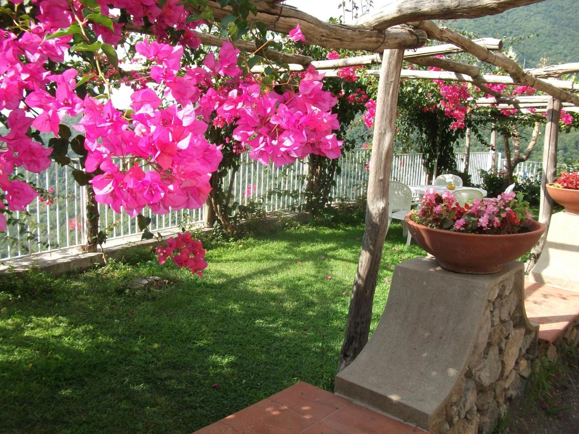 Bouganville Home Виетри Экстерьер фото